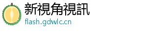 新視角視訊